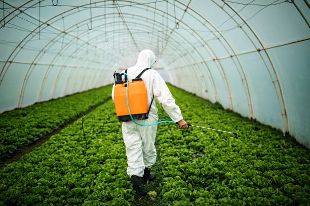 Best Pest Prevention Services  in Wagoner, OK