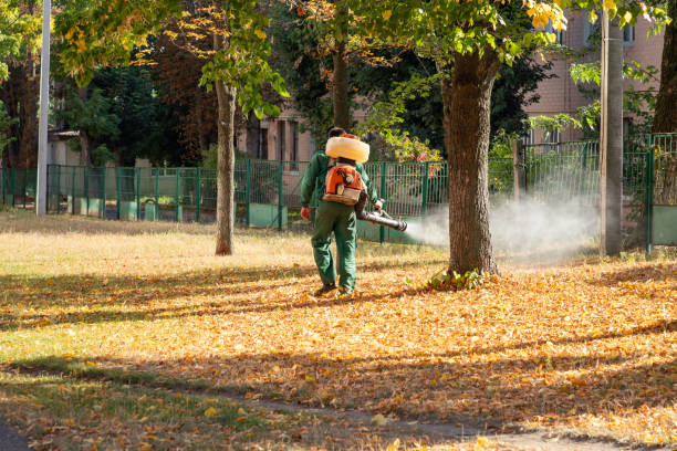 Best Termite Control Services  in Wagoner, OK